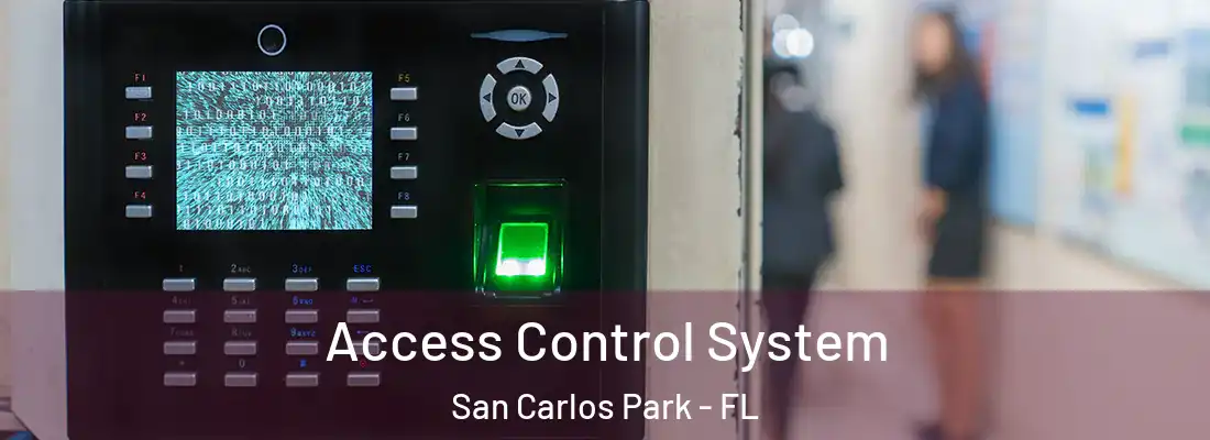 Access Control System San Carlos Park - FL
