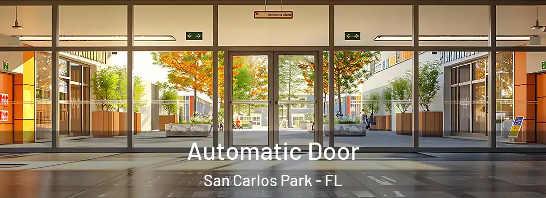 Automatic Door San Carlos Park - FL