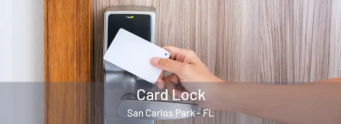 Card Lock San Carlos Park - FL
