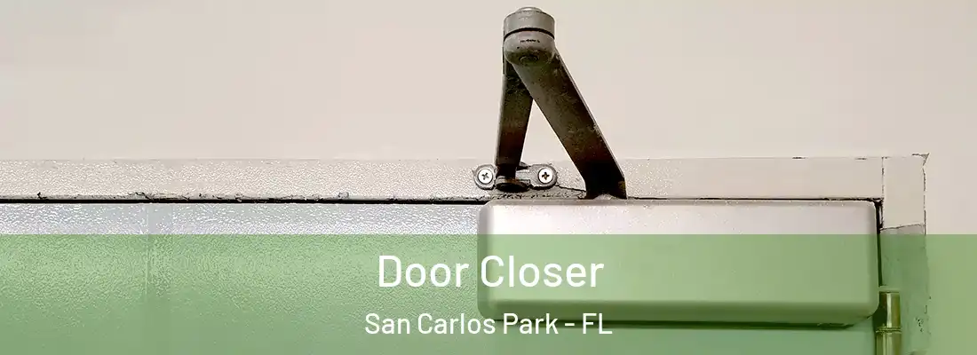 Door Closer San Carlos Park - FL