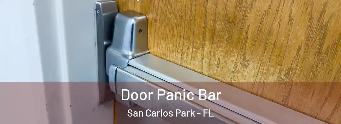 Door Panic Bar San Carlos Park - FL