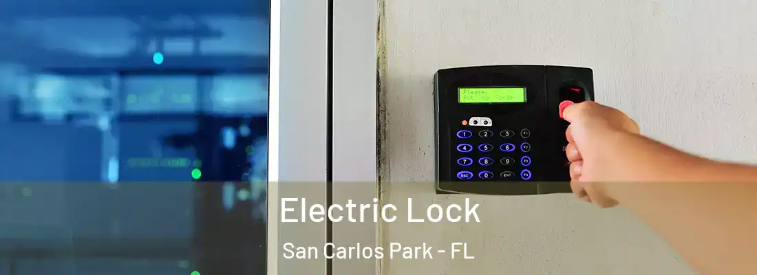 Electric Lock San Carlos Park - FL
