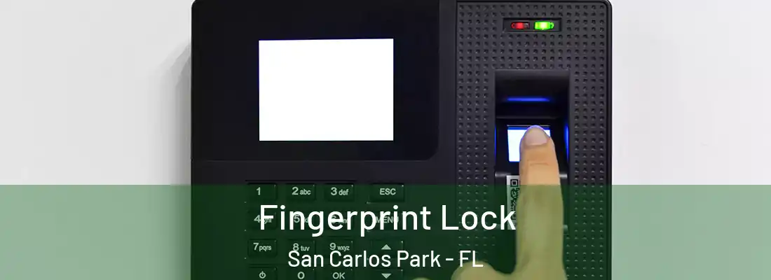Fingerprint Lock San Carlos Park - FL