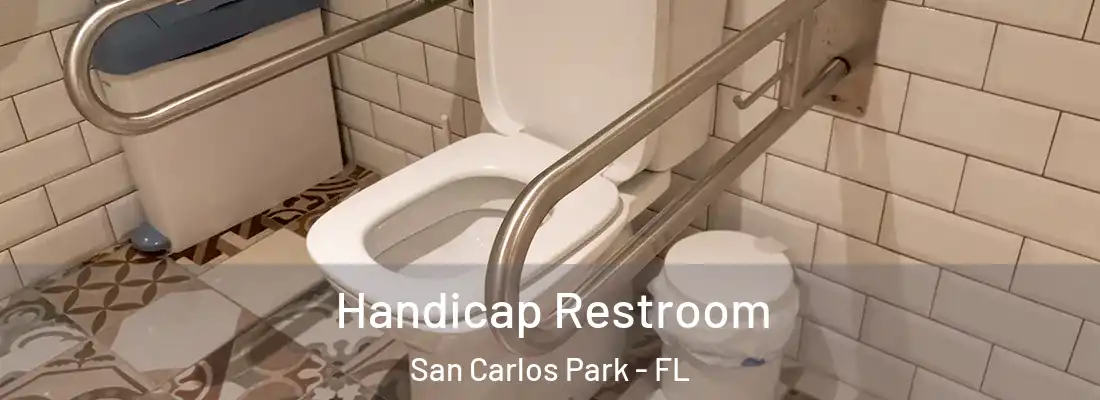Handicap Restroom San Carlos Park - FL