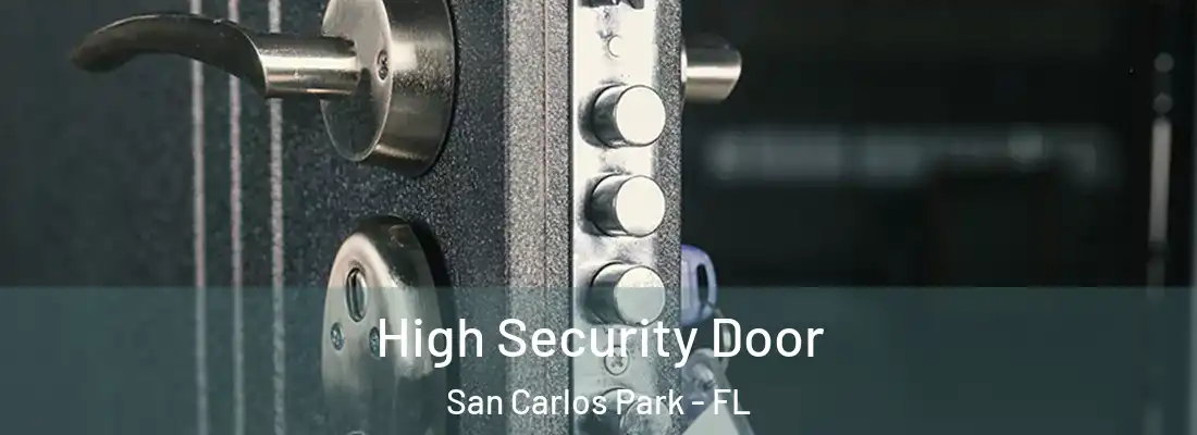 High Security Door San Carlos Park - FL