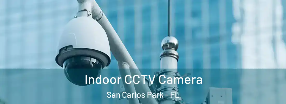 Indoor CCTV Camera San Carlos Park - FL