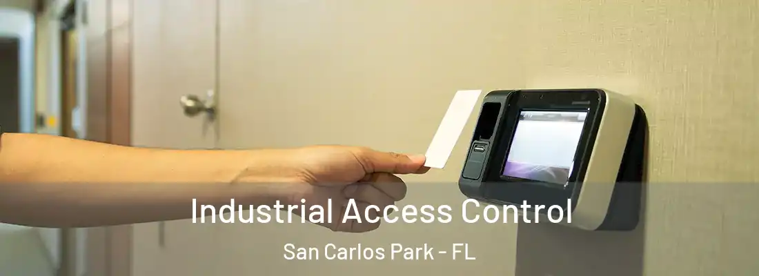 Industrial Access Control San Carlos Park - FL