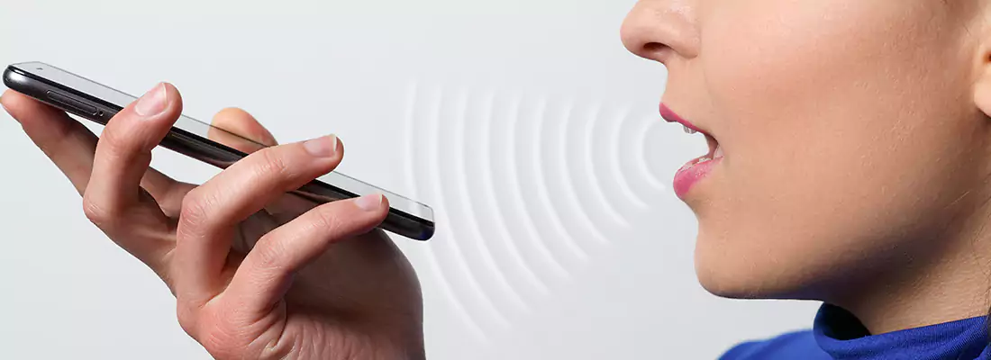 Residential and Commercial Voice Recognition Access Solutions in San Carlos Park, FL