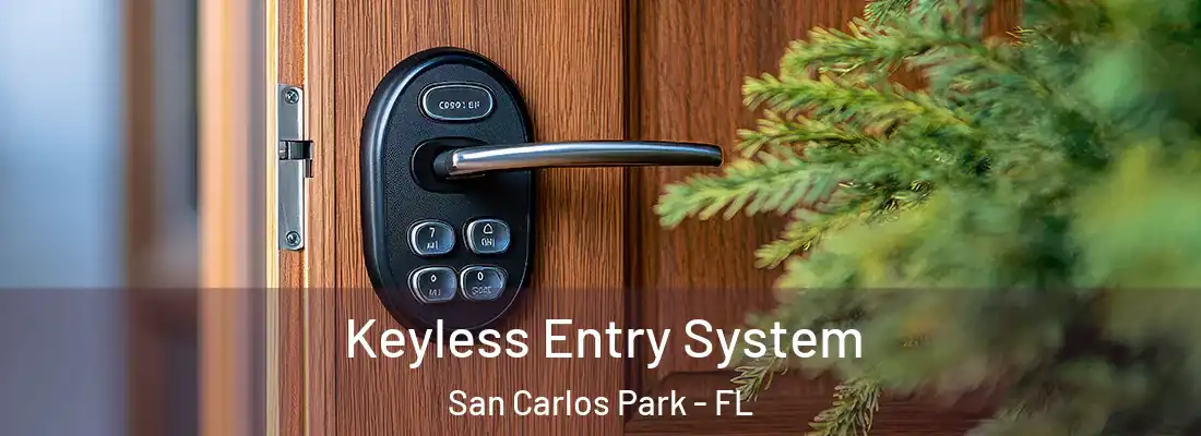 Keyless Entry System San Carlos Park - FL