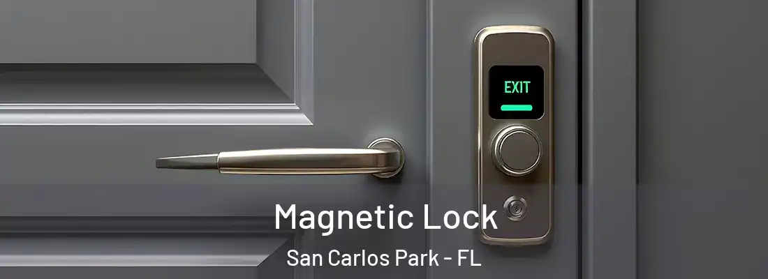 Magnetic Lock San Carlos Park - FL