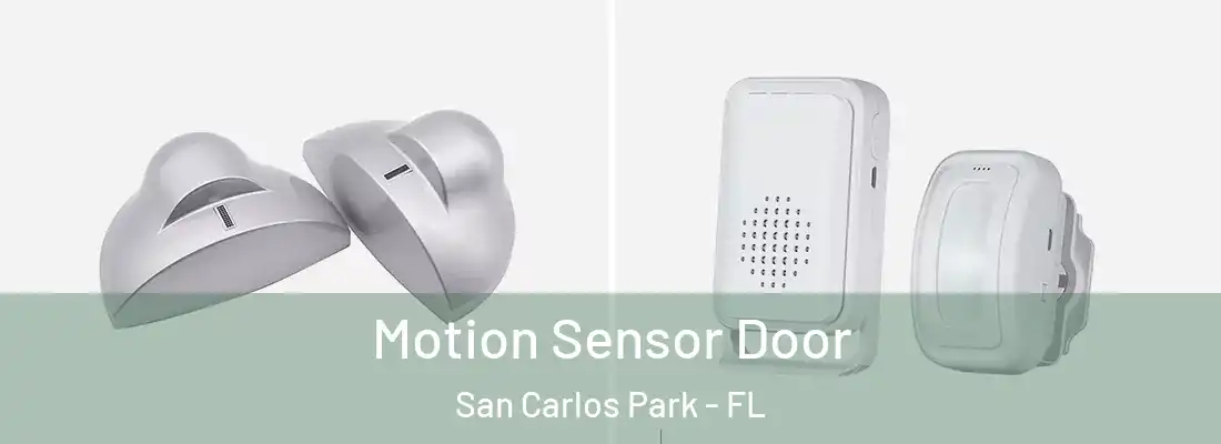 Motion Sensor Door San Carlos Park - FL