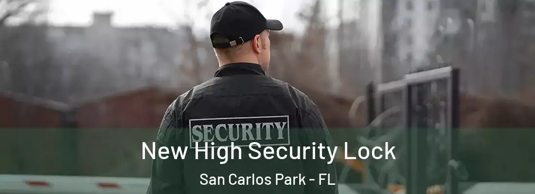 New High Security Lock San Carlos Park - FL