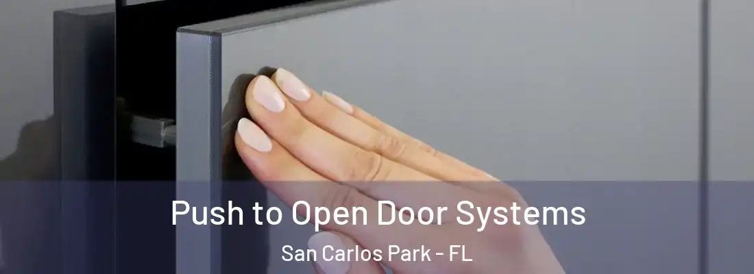 Push to Open Door Systems San Carlos Park - FL