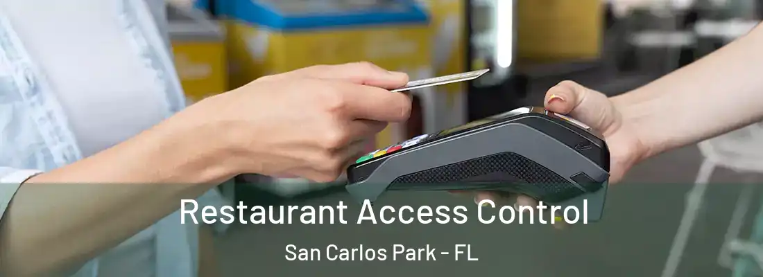 Restaurant Access Control San Carlos Park - FL