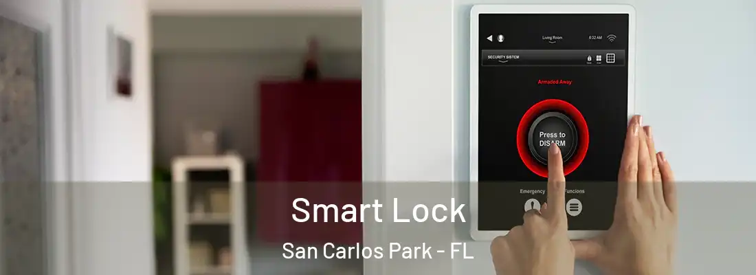Smart Lock San Carlos Park - FL