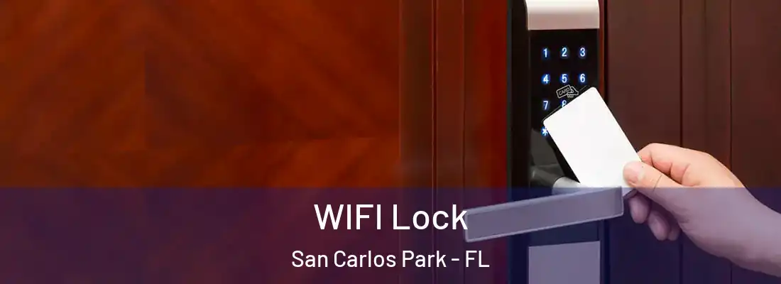  WIFI Lock San Carlos Park - FL